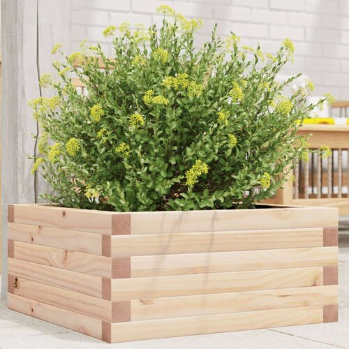  Vrtna sadilica 50 x 50 x 23 cm od masivne borovine Cijene