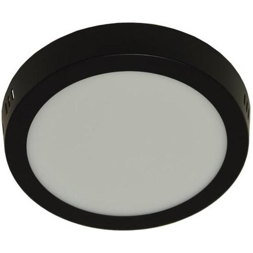  LED plafonsko svetlo GERRIT LED/12W/230V 4000K crna Cene