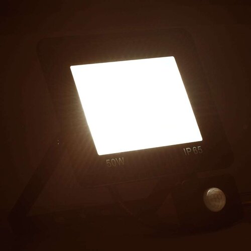 VidaXL LED reflektor s senzorjem 50 W toplo bel Slike