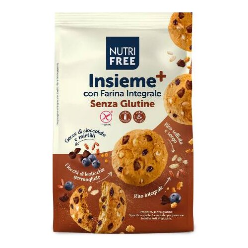 Nutri Free Biskvit keks sa komadiućima čokolade i kandiranim voćem 250g Cene
