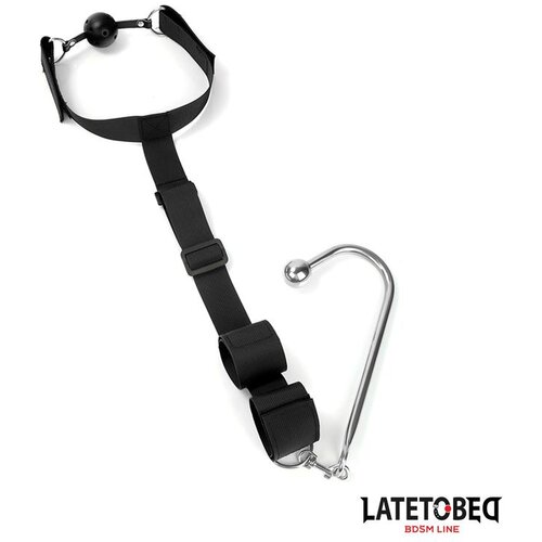 LATETOBED BDSM Line Mouth Gag With Cuff And Anal Hook Slike