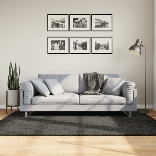 VidaXL Preproga ISTAN visoka vlakna sijoč videz antracitna 140x200 cm Slike