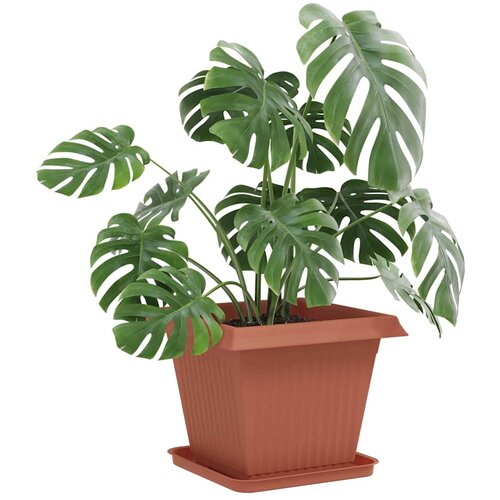  Saksije za biljke 24 pcs Crvena cigla 38 x 38 x 30 cm Plastika Slike