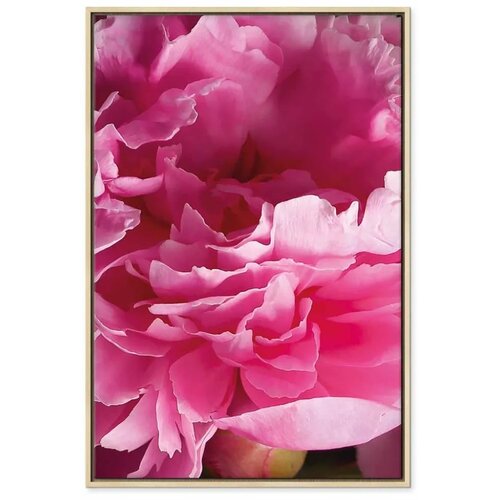  Slika - Blossom of Beauty (1-part) - Pink Peony Flower Embraced by Nature 60x90 Slike
