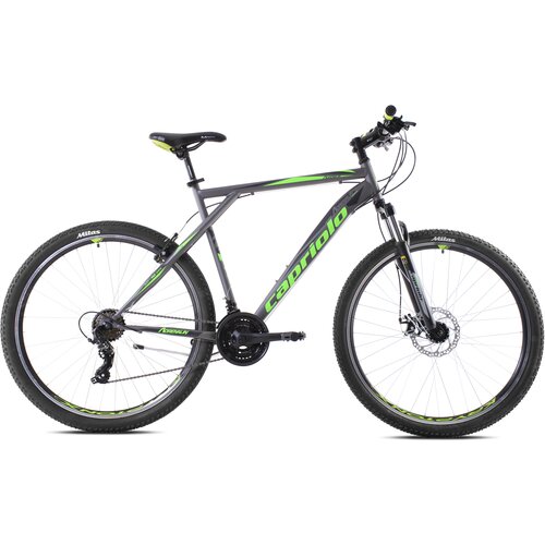 Capriolo Adrenalin Muški bicikl, 21/29", Sivo-zeleni Cene