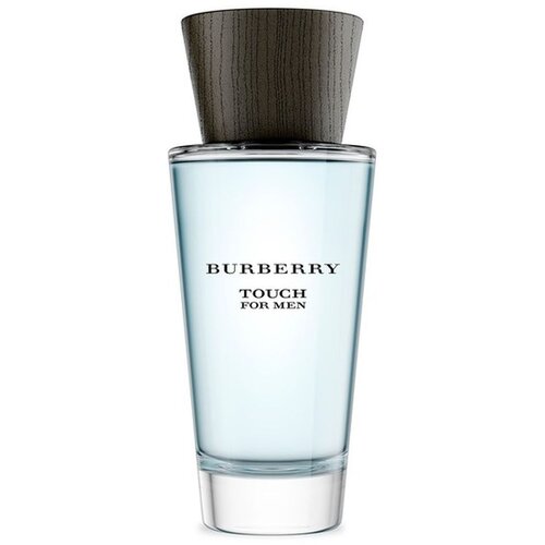 Burberry touch For Men toaletna voda 100 ml za muškarce Cijene