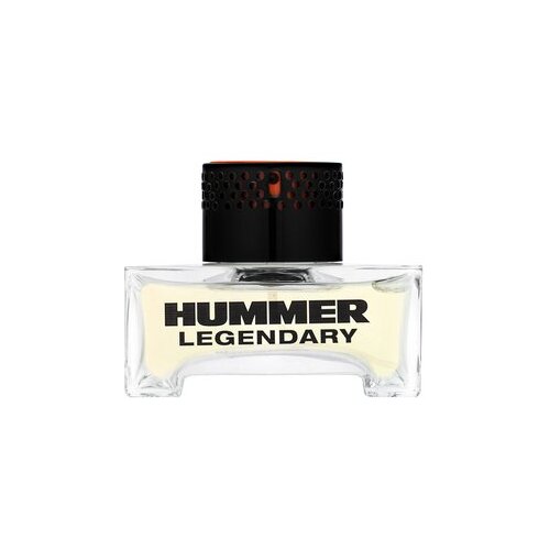 Hummer Legendary Toaletna voda za mo&scaron;ke 40 ml Cene