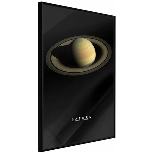  Poster - The Solar System: Saturn 20x30
