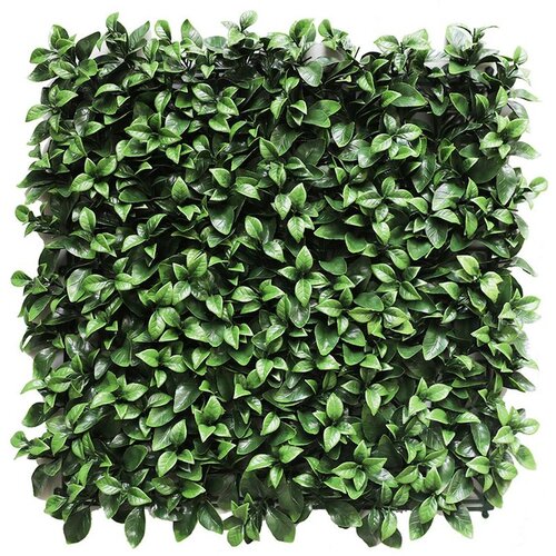 STIL Dekoracija za vrt umjetni zidni panel gardenia 50x50 cm CCGA088 Cijene