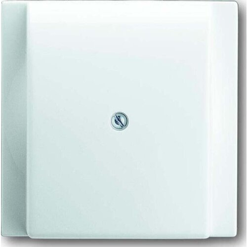 Busch-Jaeger Centralni disk aws 1749-74, (20891782) Cene