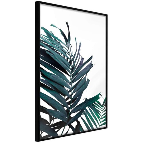  Poster - Evergreen Palm Leaves 30x45 Cijene