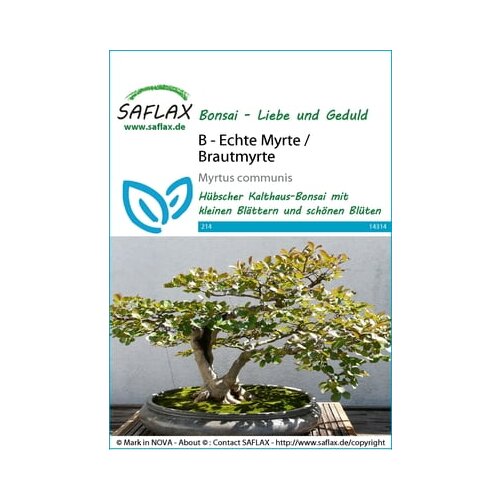 Saflax Bonsai - prava mirta Cene