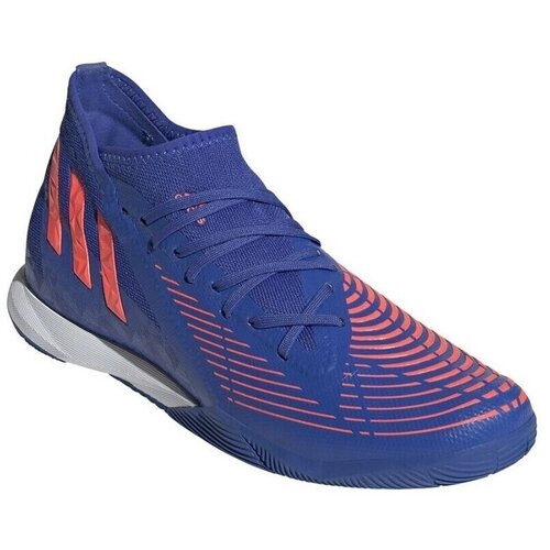 Adidas Moška obutev za dvoranski nogomet PREDATOR EDGE.3 IN Modra Cene