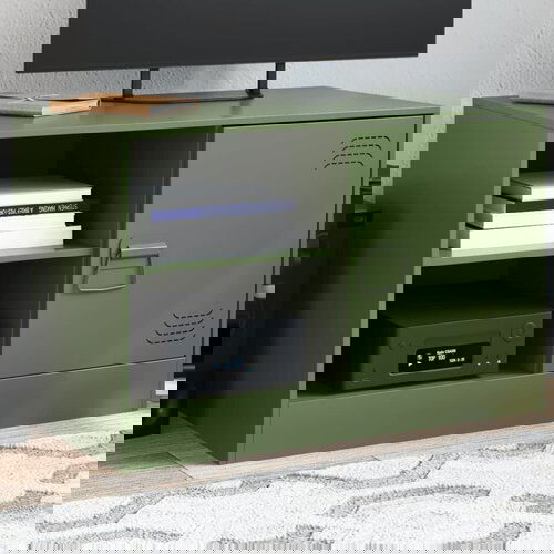 VidaXL TV ormarić maslinasti 67 x 39 x 44 cm čelični Slike