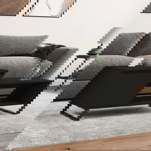 vidaXL Stolić za kavu crni 100 x 50 x 45 cm od konstruiranog drva Cijene
