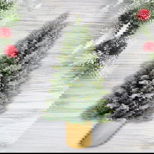 Olimp Sport Novogodišnja jelka u saksiji - 90 cm Cene