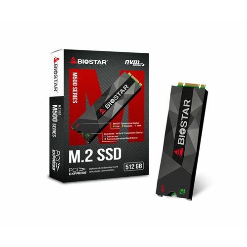 Biostar SSD M.2 512GB M500 Series NVME 1700/1100MB/s, M500­512GB ssd hard disk Slike