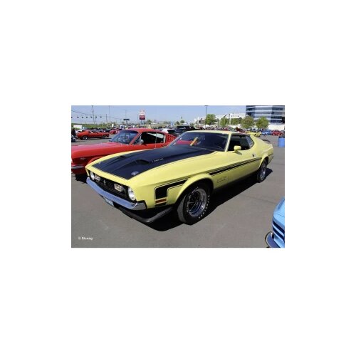 Revell 07699 71 Mustang Boss 351 model automobila za sastavljanje 1:25 Cijene