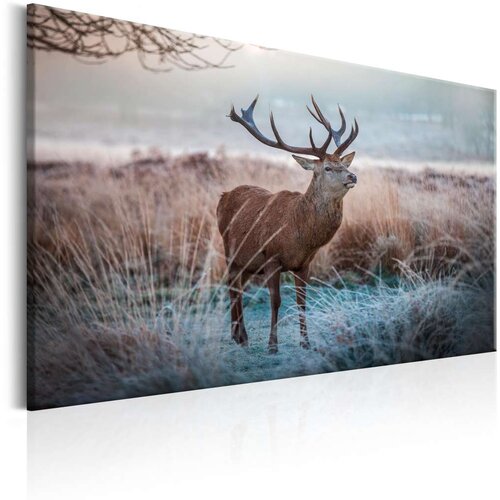  Slika - Wild Animal 90x60 Slike