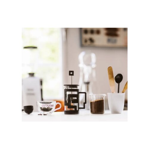 Tiamo french press steklen, 300 ml, (21155655) Cene