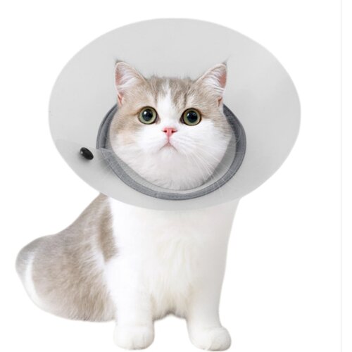 INF Zračni snemljiv ovratnik za zaščito hišnih ljubljenčkov po operaciji Grey L, (5000124624) Cene