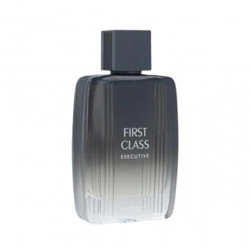 Aigner Etienne First Class Executive Eau De Toilette 100 ml (man) Cijene