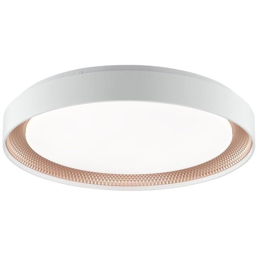 Brilliant LED prigu&amp;scaron;iva stropno svetlo WALDO LED/36W/230V bela/roze zlato + DO Slike