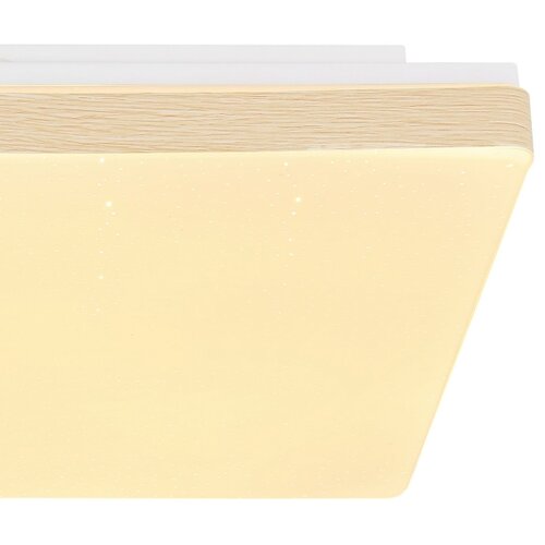 Globo 48296W - LED plafonsko svetlo RAINA LED/12W/230V Cene