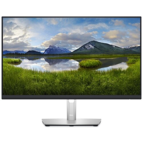Olimp Sport DELL 23.8 inch P2422H Professional IPS monitor Cene