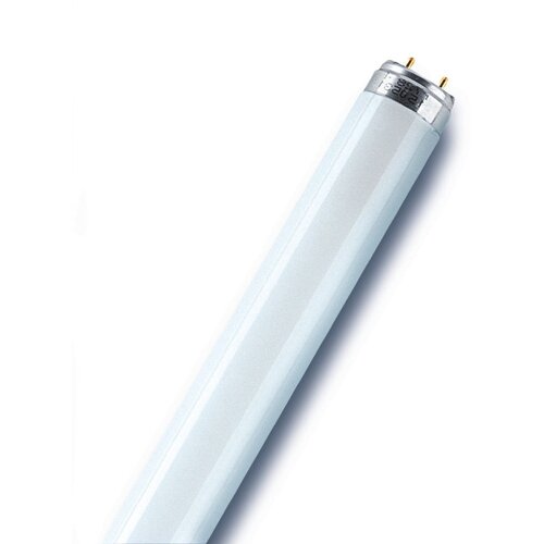 Osram Fluorescentna žarulja (58 W, 151,4 cm, Bijele boje dnevnog svjetla, 4.900 lm) Cijene