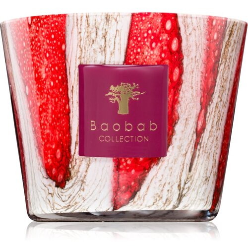 Baobab Collection Woods Risoud mirisna svijeća 500 g Slike