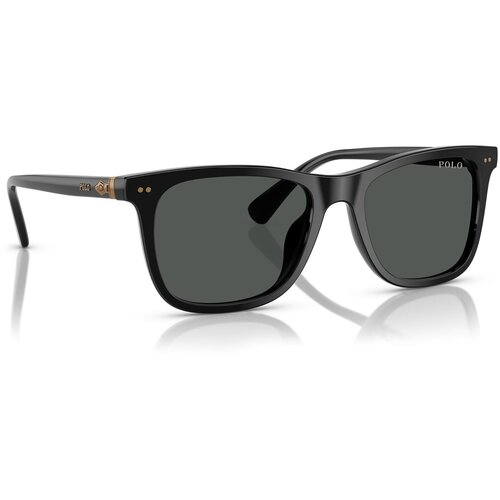 Polo Ralph Lauren PH4220U 500187 - ONE SIZE (55) Cijene