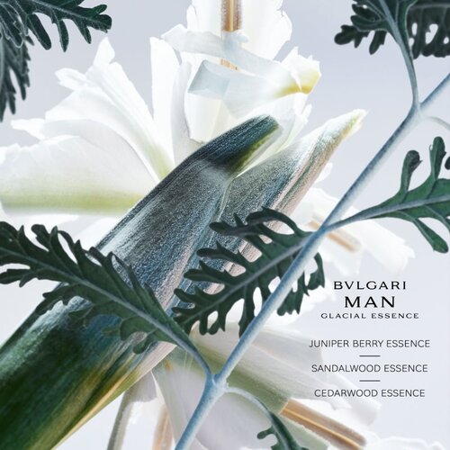 Bvlgari Man Glacial Essence parfumska voda nadomestno polnilo za mo&amp;scaron;ke 200 ml Slike