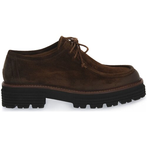 Priv Lab Mokasini SAYO FAGGIO Kostanjeva Slike