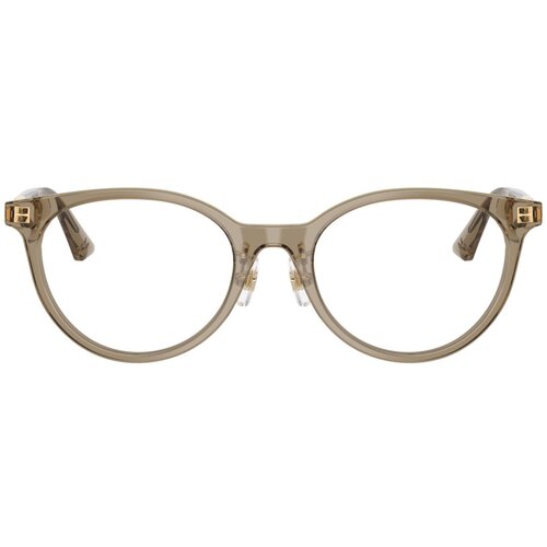 Jimmy_Choo Naočare JC 3039D 5051 Cene