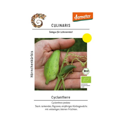 BIO buče korila Cyclanthere Cene
