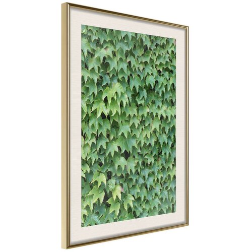  Poster - Hidden 20x30 Slike