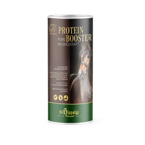  WES Protein Booster