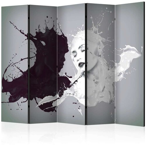  Paravan u 5 dijelova - Dissonance II [Room Dividers] 225x172 Slike
