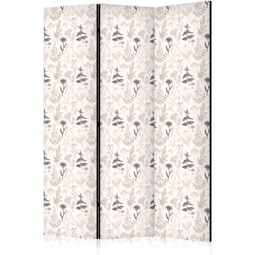  Paravan - Botanical Illustration - Drawing of Flowers and Herbs - Beige Grays Cene