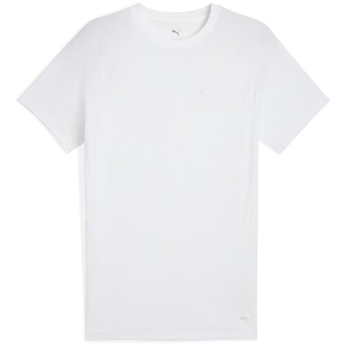 Puma muška majica kratak rukav evostripe tee M 684611-02 Slike