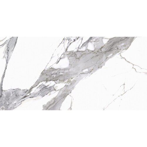 Cerrad calacata white mat rett 59.7x119.7cm Cene