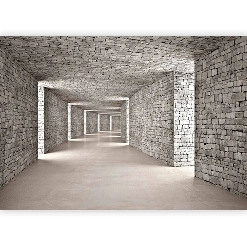  Foto tapeta - Mysterious Tunnel 250x175 Standard Slike