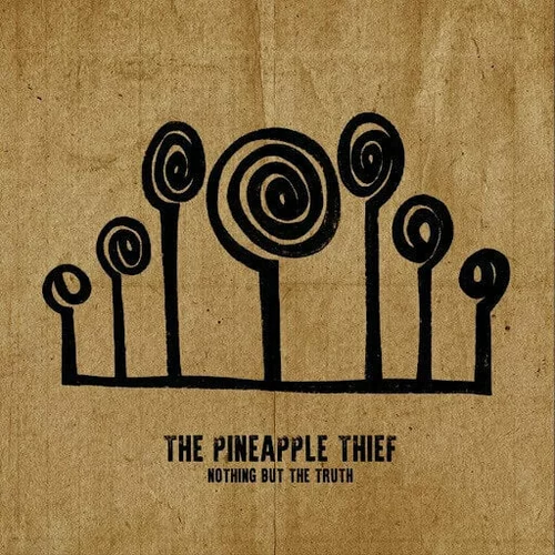 The Pineapple Thief Nothing But The Truth (2 LP)