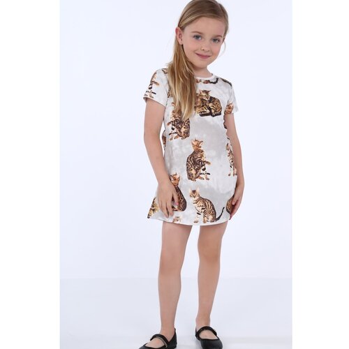 Fasardi Gray girlish dress with cats Slike