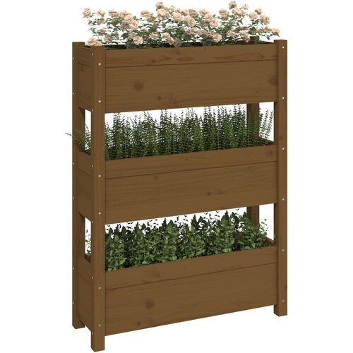  Sadilica smeđa boja meda 77 x 25 x 104,5 cm od masivne borovine Slike