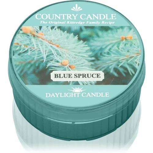 Country Candle Blue Spruce čajna sveča 42 g