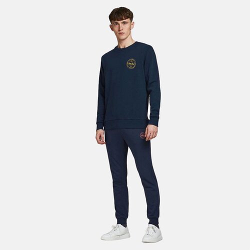 Jack & Jones Moška trenirka spodnji del 12165322 Cene