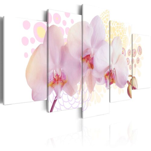  Slika - Finessed orchid 200x100 Cijene