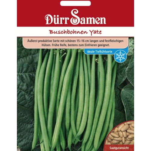 D&amp;uuml;rr Samen Grmičast fižol &amp;quot;Yate&amp;quot; - 100 zrn. Slike